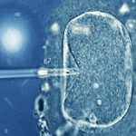 130628134814_fertilizacin_in_vitro_304x171_spl_nocredit